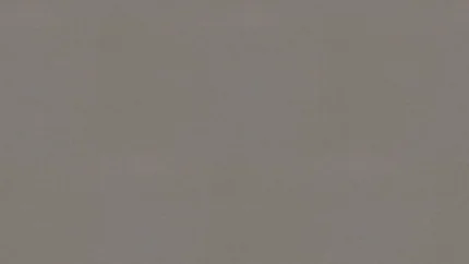 F433 ST10 Lin Anthracite