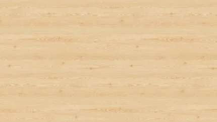 H3409 ST38 Bouleau Montagne Naturel