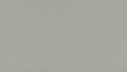 F765 ST20 Сребърно-сиво изчеткано