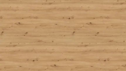 H1318 ST10 Chêne Sauvage Naturel