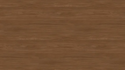 H1714 ST19 Noix Lincoln