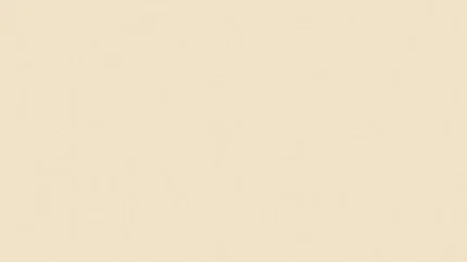 U115 ST9 Beige Carat