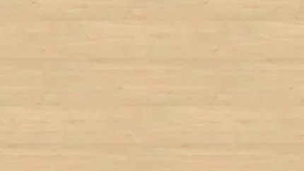 H3840 ST9 Érable Mandal Nature