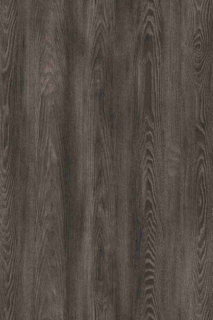 K533 Châtaignier Arvadonna Vison